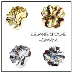 BROCHES