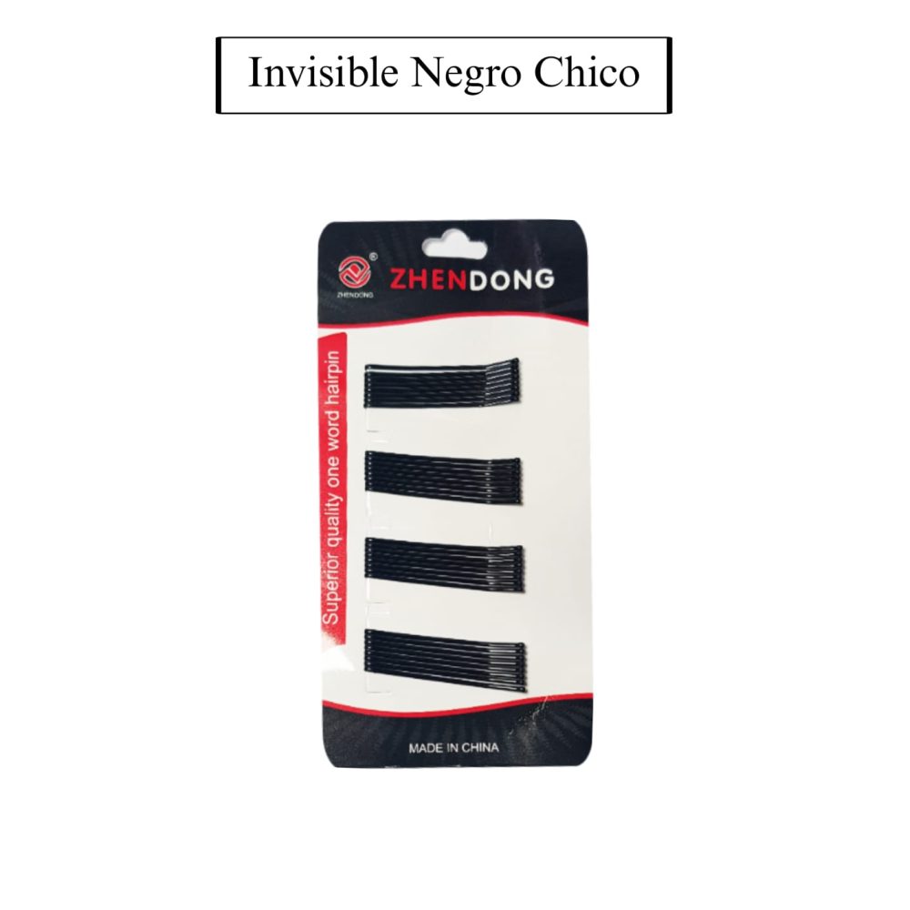INVISIBLE CHICO